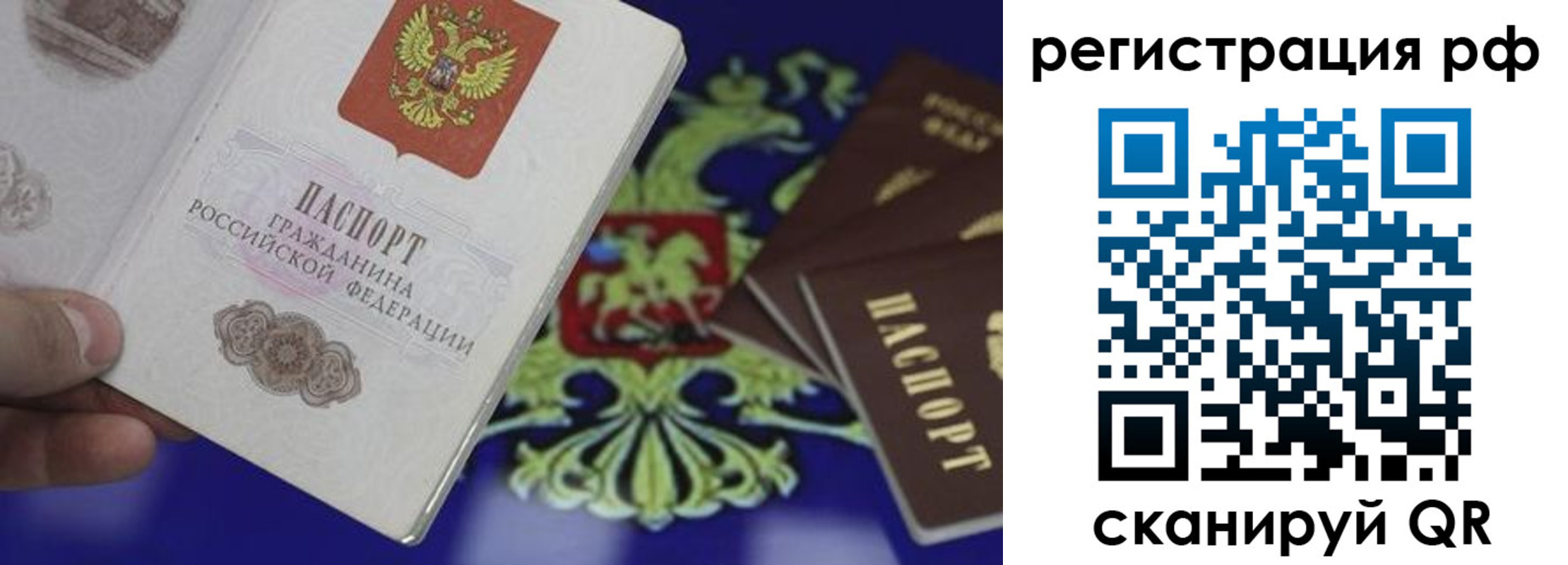 прописка поиск в Санкт-Петербурге
